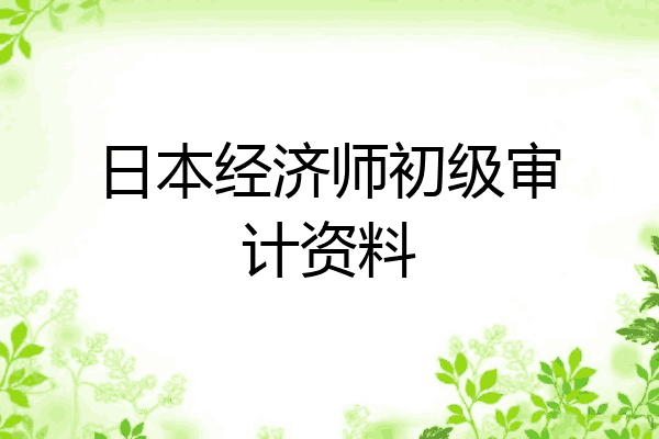 日本经济师初级审计资料