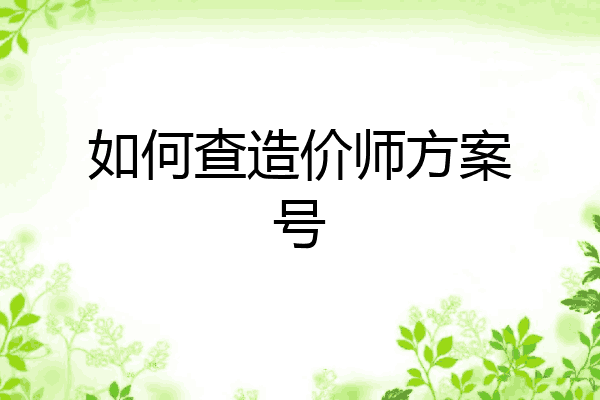 如何查造价师方案号