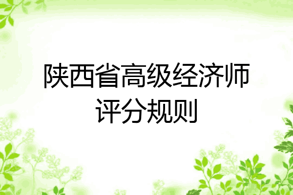 陕西省高级经济师评分规则