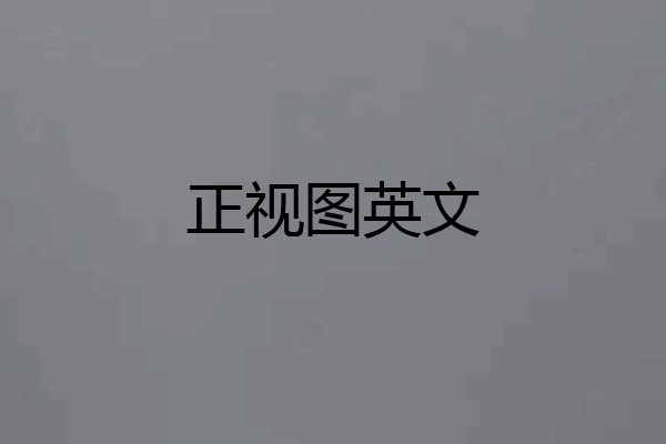 正视图英文