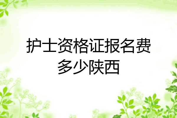 护士资格证报名费多少陕西