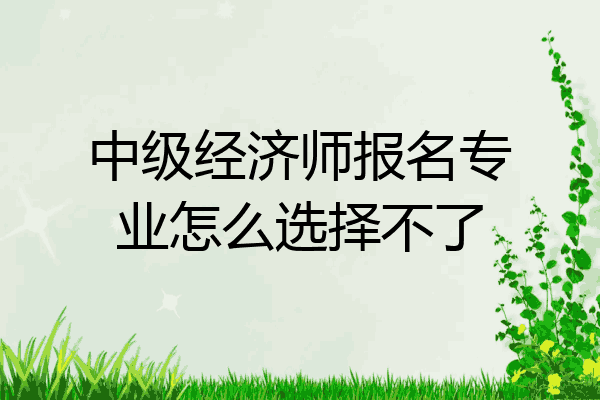 中级经济师报名专业怎么选择不了