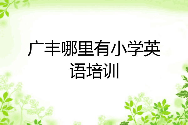 广丰哪里有小学英语培训