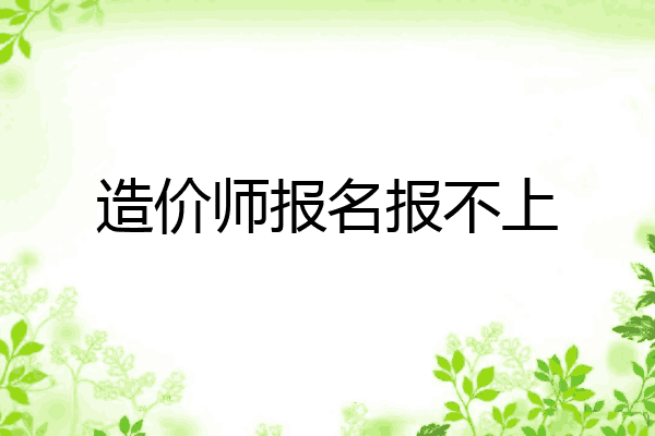 造价师报名报不上