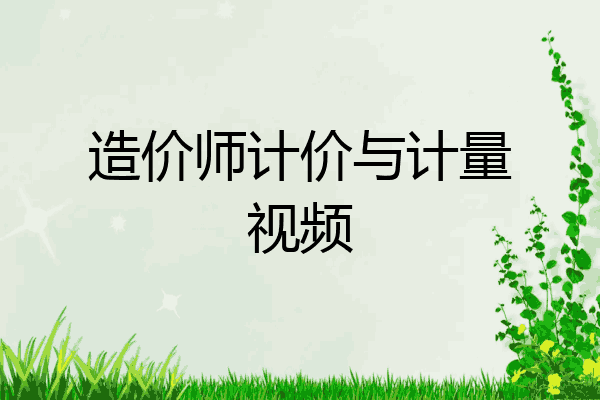 造价师计价与计量视频