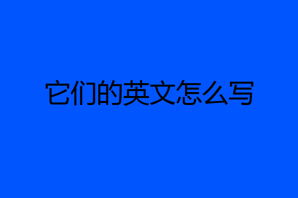 它们的英文怎么写