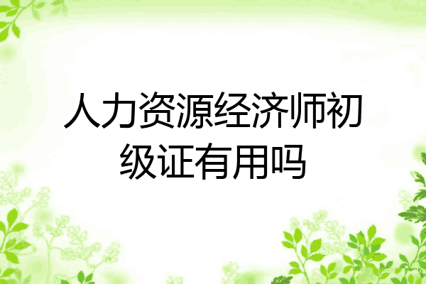 人力资源经济师初级证有用吗