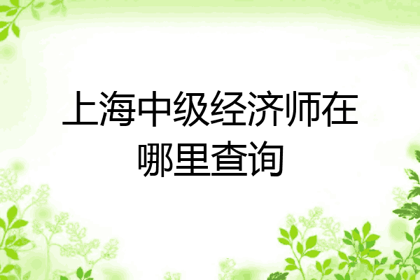 上海中级经济师在哪里查询
