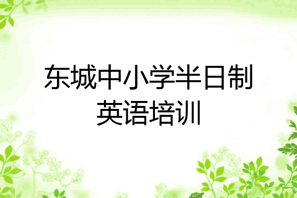 东城中小学半日制英语培训