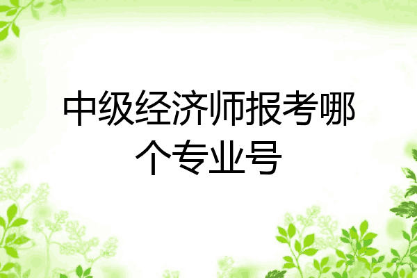 中级经济师报考哪个专业号