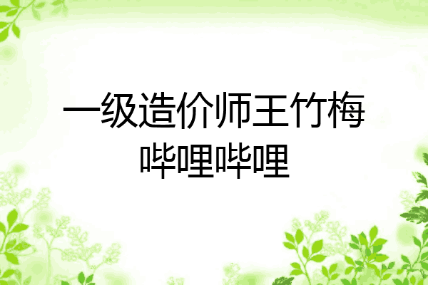 一级造价师王竹梅哔哩哔哩