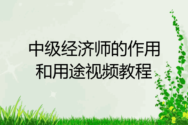中级经济师的作用和用途视频教程