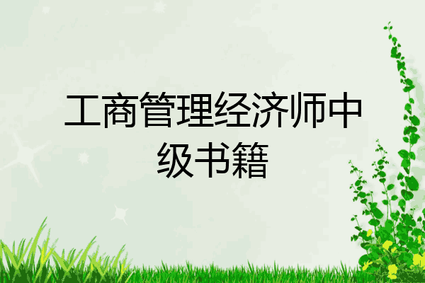 工商管理经济师中级书籍