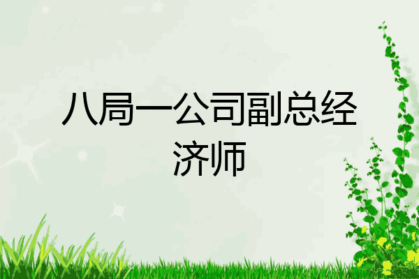 八局一公司副总经济师