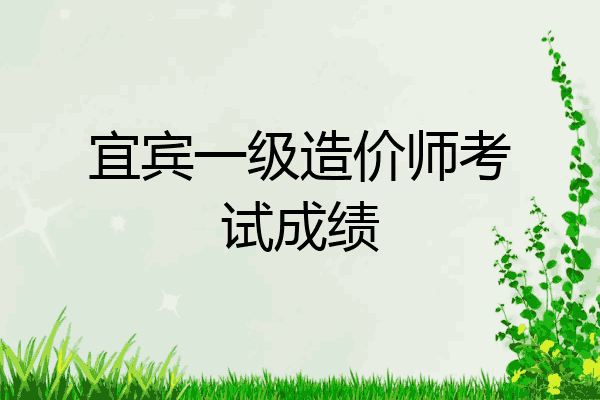 宜宾一级造价师考试成绩