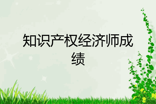 知识产权经济师成绩