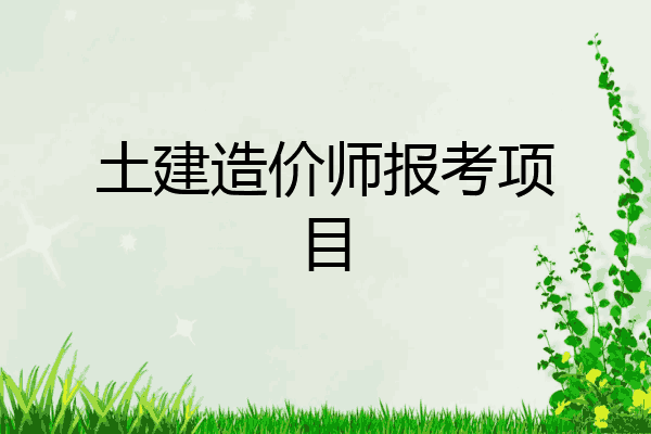 土建造价师报考项目