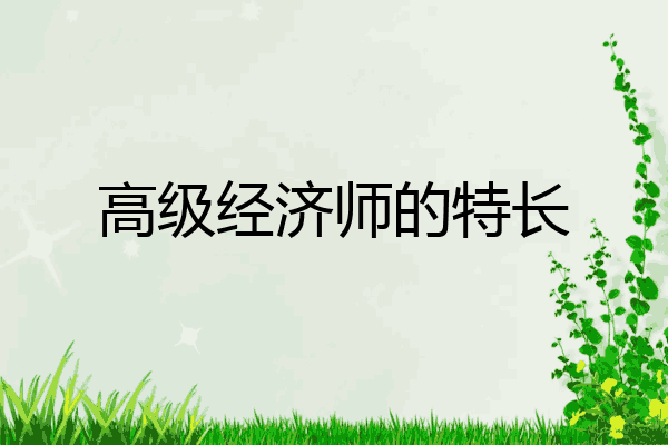 高级经济师的特长