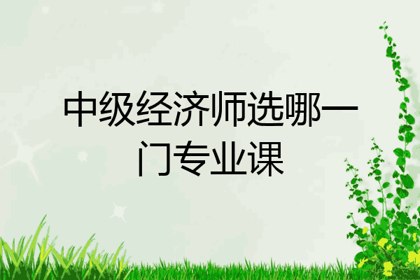 中级经济师选哪一门专业课