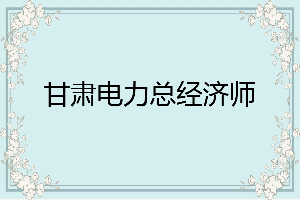甘肃电力总经济师