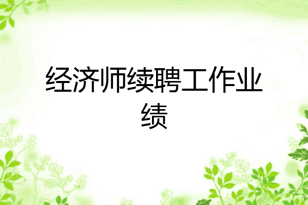 经济师续聘工作业绩