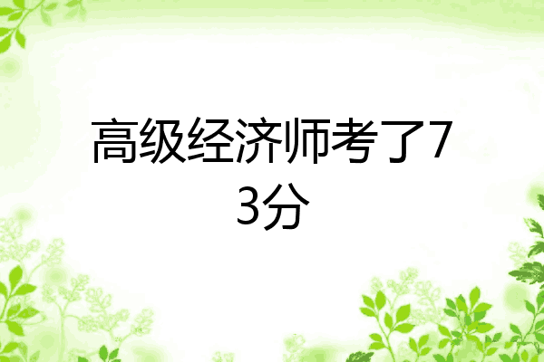 高级经济师考了73分