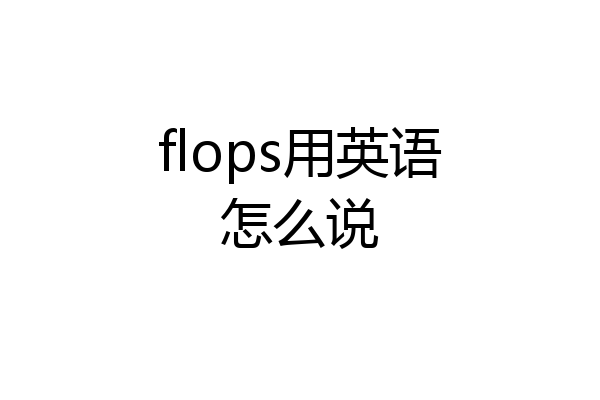 flops用英语怎么说