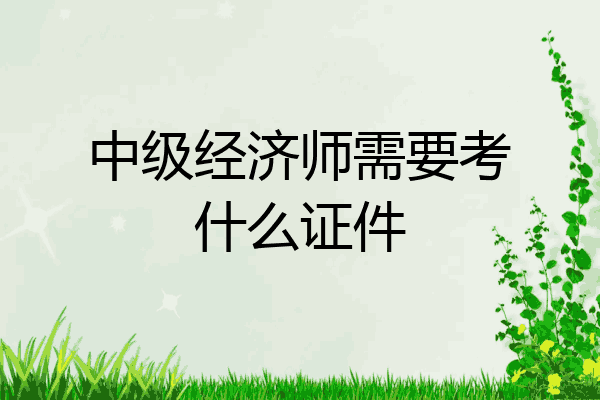 中级经济师需要考什么证件