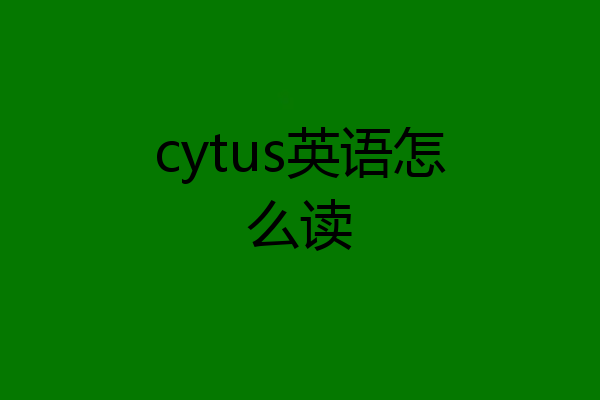 cytus英语怎么读