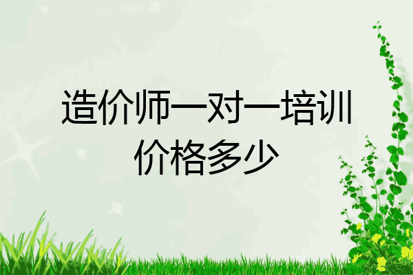 造价师一对一培训价格多少