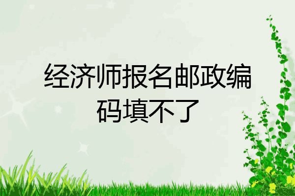 经济师报名邮政编码填不了
