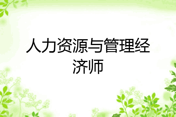 人力资源与管理经济师