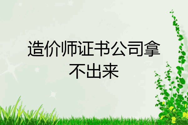 造价师证书公司拿不出来