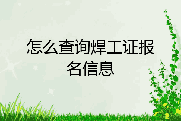 怎么查询焊工证报名信息