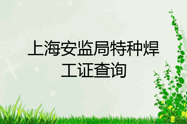 上海安监局特种焊工证查询
