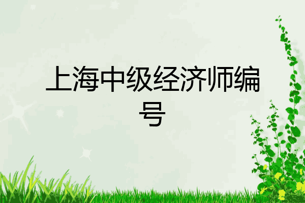 上海中级经济师编号