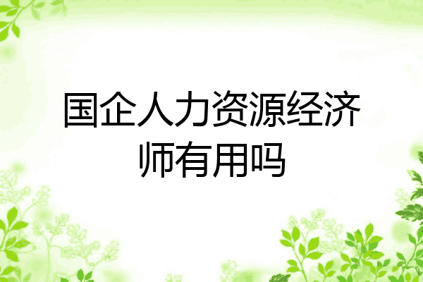 国企人力资源经济师有用吗