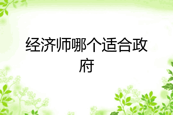 经济师哪个适合政府