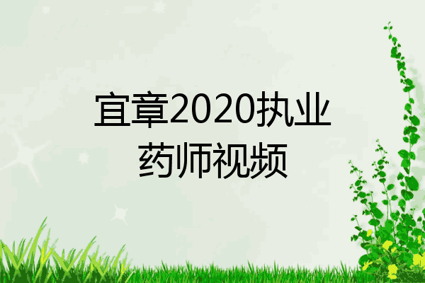宜章2020执业药师视频