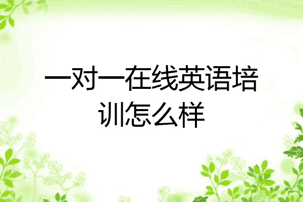 一对一在线英语培训怎么样