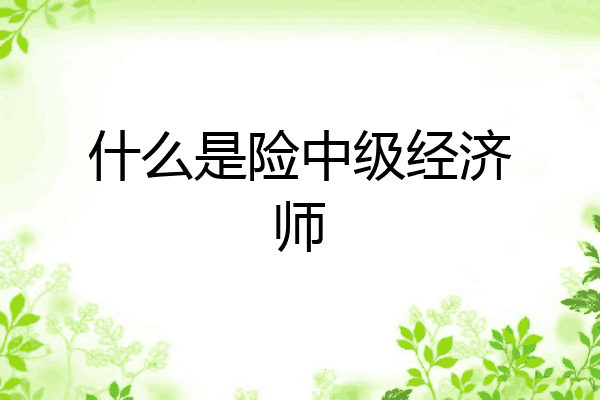 什么是险中级经济师