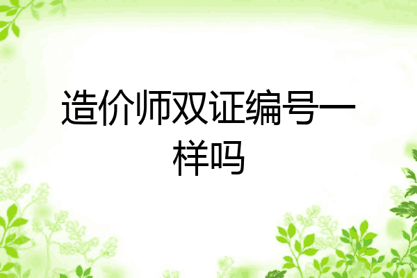 造价师双证编号一样吗