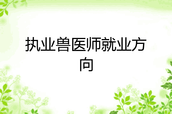 执业兽医师就业方向