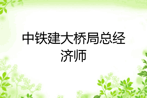 中铁建大桥局总经济师