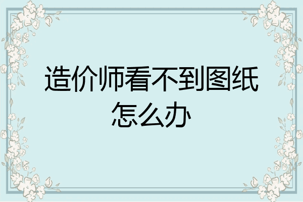 造价师看不到图纸怎么办