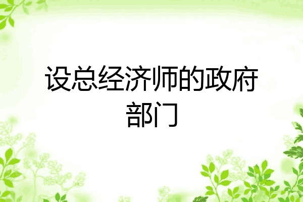 设总经济师的政府部门