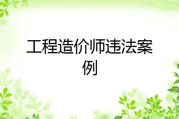 工程造价师违法案例