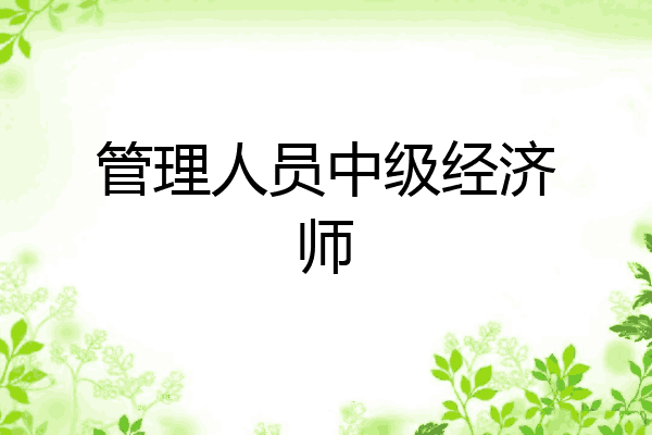 管理人员中级经济师