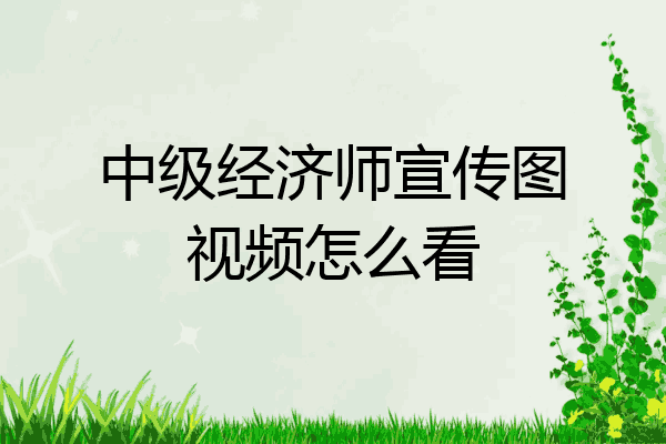中级经济师宣传图视频怎么看