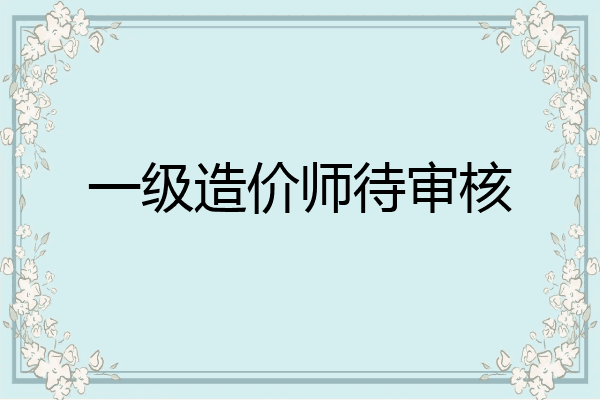 一级造价师待审核